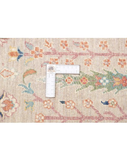 Tappeto Shahi Fine Pakistan marrone beige 204x293