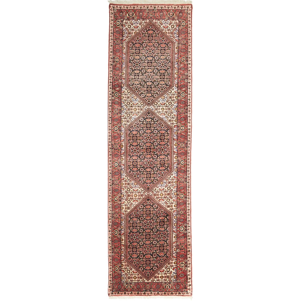 Tappeto Bidjar Persia rosso giallo 68x255
