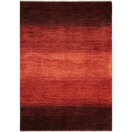Tappeto Shayan Pakistan marrone 168x236