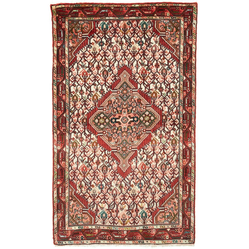 Tappeto Hamadan Persia marrone giallo 83x142