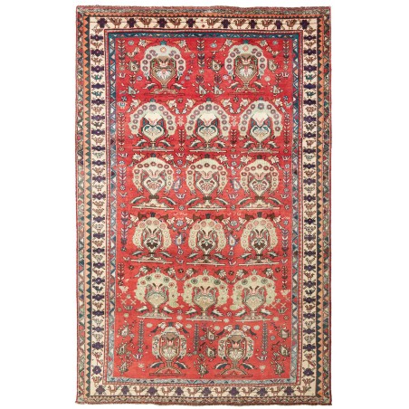 Tappeto Shiraz Persia rosso giallo 155x240
