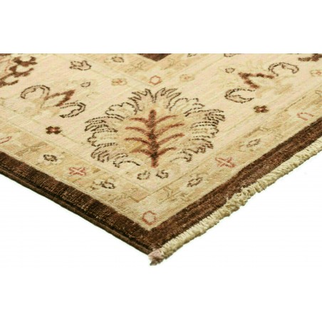 Tappeto Zigler Fine Pakistan marrone 170x237