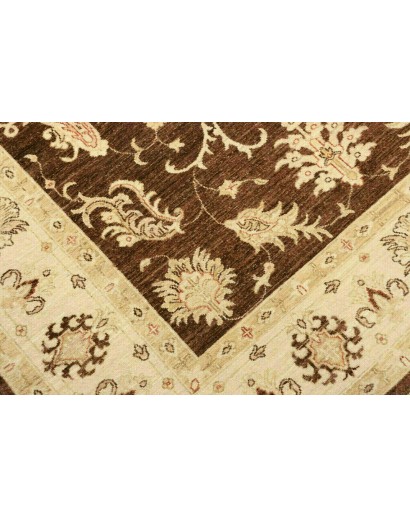 Tappeto Zigler Fine Pakistan marrone 170x237