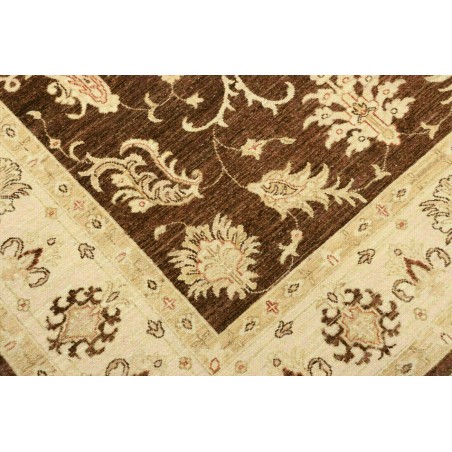 Tappeto Zigler Fine Pakistan marrone 170x237