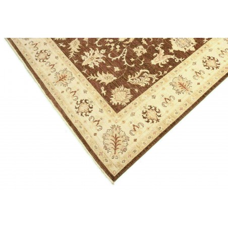 Tappeto Zigler Fine Pakistan marrone 170x237