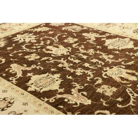 Tappeto Zigler Fine Pakistan marrone 170x237
