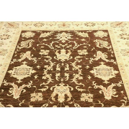 Tappeto Zigler Fine Pakistan marrone 170x237