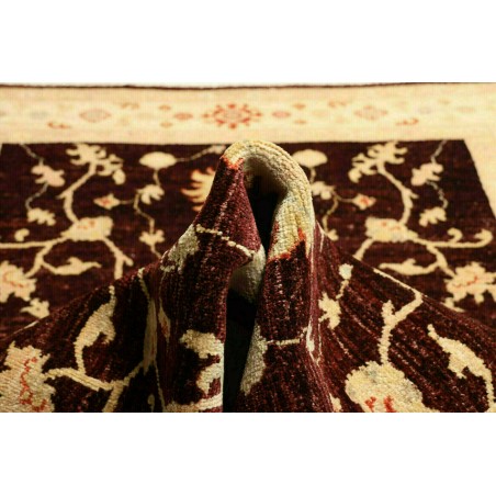 Tappeto Zigler Fine Pakistan marrone 121x181