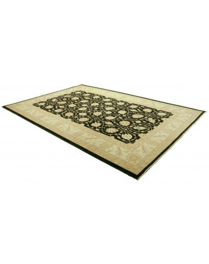 Tappeto Zigler Fine Pakistan marrone 250x363