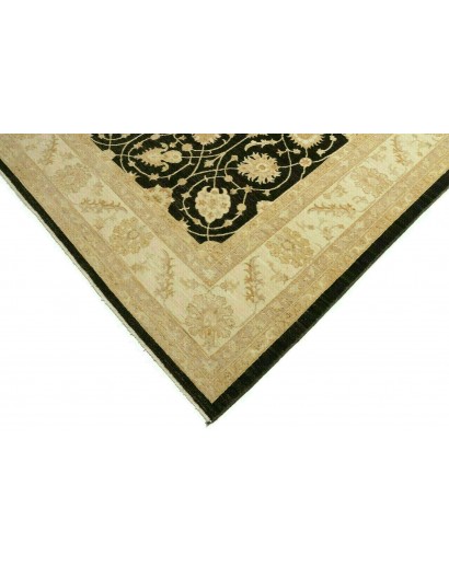 Tappeto Zigler Fine Pakistan marrone 250x363