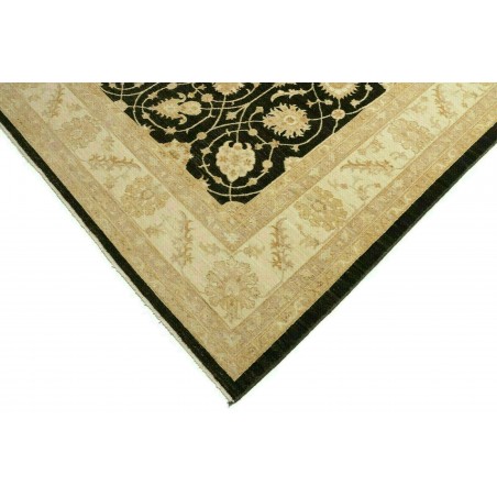 Tappeto Zigler Fine Pakistan marrone 250x363