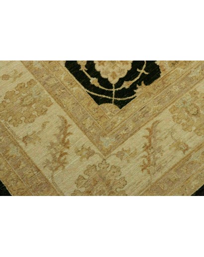Tappeto Zigler Fine Pakistan marrone 250x363