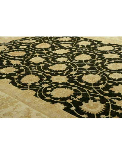 Tappeto Zigler Fine Pakistan marrone 250x363