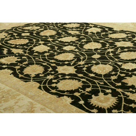 Tappeto Zigler Fine Pakistan marrone 250x363