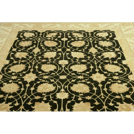 Tappeto Zigler Fine Pakistan marrone 250x363