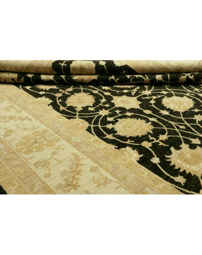 Tappeto Zigler Fine Pakistan marrone 250x363