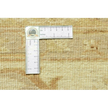 Tappeto Zigler Fine Pakistan marrone 250x363