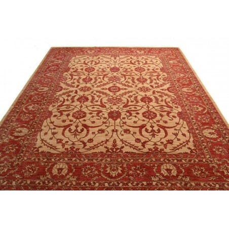Tappeto Zigler Fine Pakistan rosso marrone 252x296
