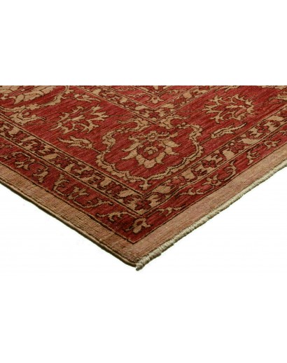 Tappeto Zigler Fine Pakistan rosso marrone 252x296