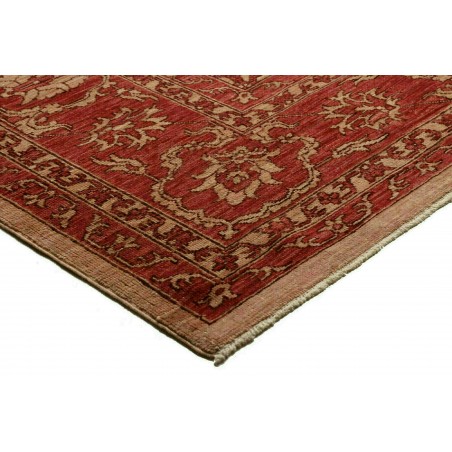 Tappeto Zigler Fine Pakistan rosso marrone 252x296