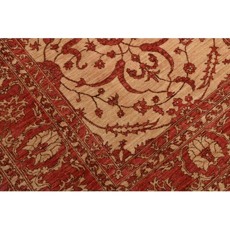Tappeto Zigler Fine Pakistan rosso marrone 252x296
