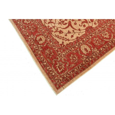 Tappeto Zigler Fine Pakistan rosso marrone 252x296