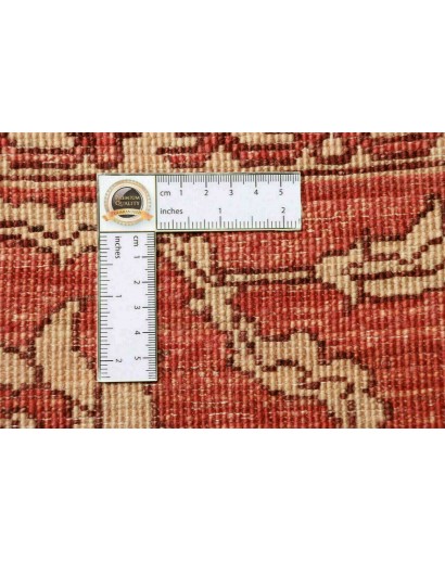 Tappeto Zigler Fine Pakistan rosso marrone 252x296