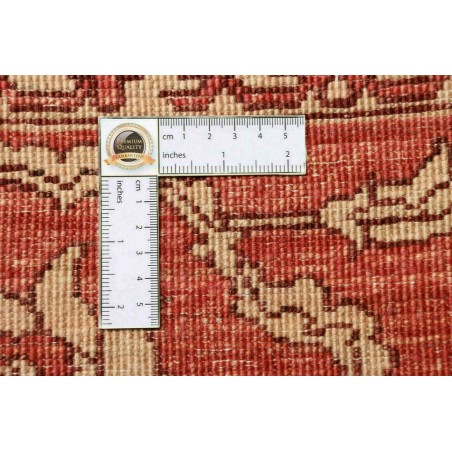 Tappeto Zigler Fine Pakistan rosso marrone 252x296