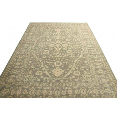 Tappeto Zigler Fine Pakistan marrone 214x300