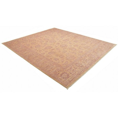 Tappeto Zigler Fine Pakistan marrone 244x281
