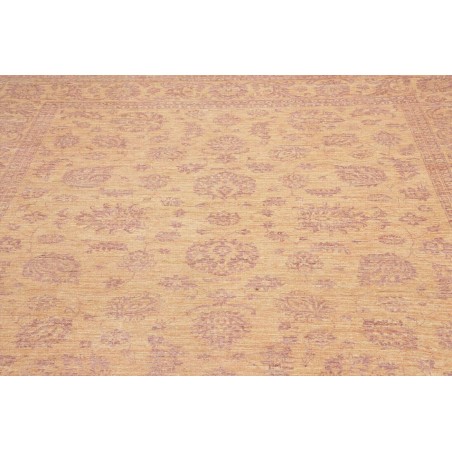 Tappeto Zigler Fine Pakistan marrone 244x281