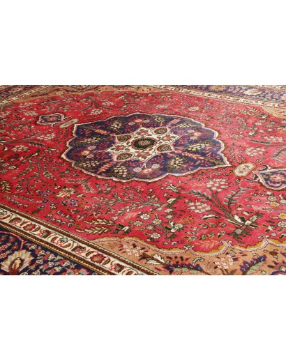Tappeto Tabriz Persia marrone 250x342