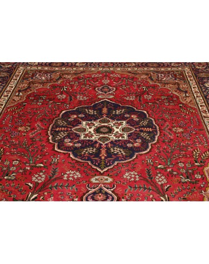Tappeto Tabriz Persia marrone 250x342