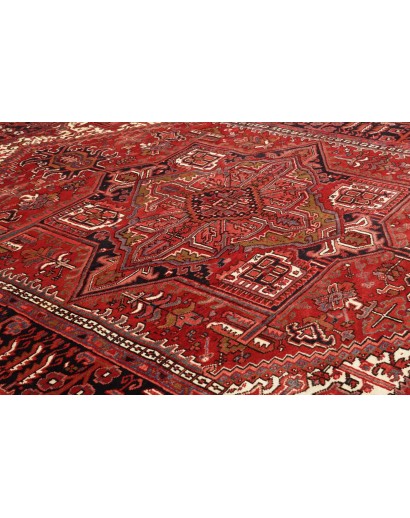 Tappeto Gorawan Persia marrone giallo 250x324