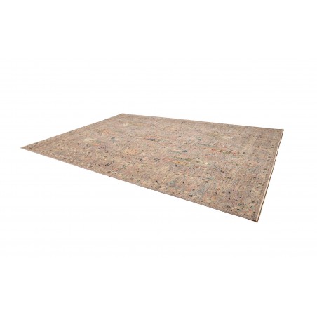 Tappeto Shahi Fine Pakistan marrone 305x419