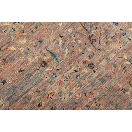 Tappeto Shahi Fine Pakistan marrone 305x419
