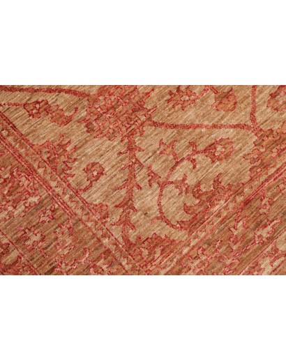 Tappeto Zigler Fine Pakistan arancione marrone 125x174