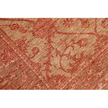 Tappeto Zigler Fine Pakistan arancione marrone 125x174