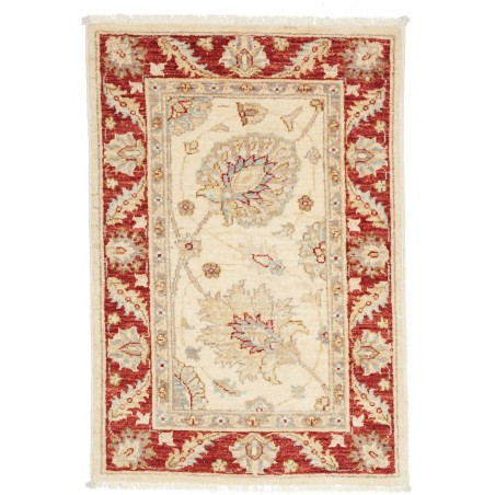 Tappeto Zigler Fine Pakistan giallo 60x88