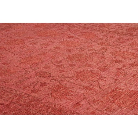 Tappeto Zigler Fine Pakistan marrone rosso 268x373