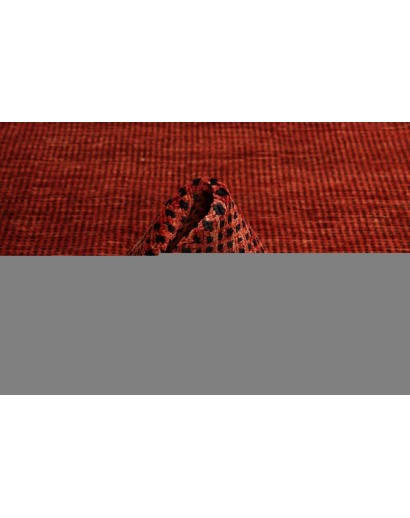Tappeto Shayan Pakistan marrone rosso 169x244