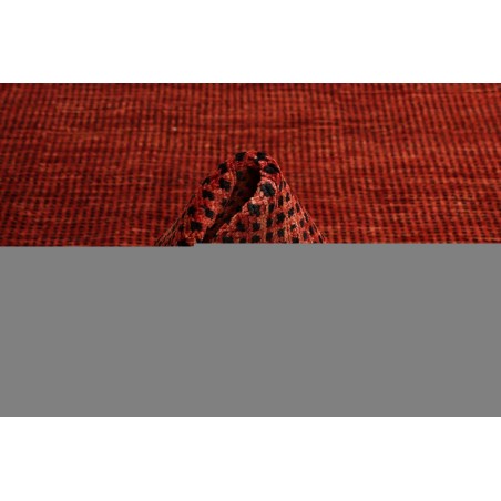 Tappeto Shayan Pakistan marrone rosso 169x244