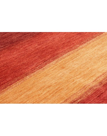 Tappeto Shayan Pakistan marrone arancione 150x204