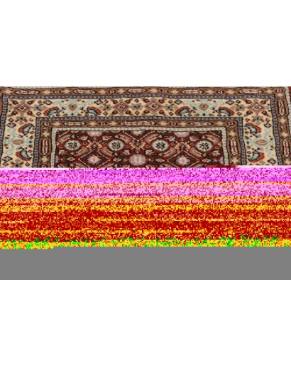 Tappeto Moud Persia marrone beige 60x89