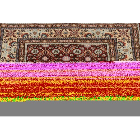Tappeto Moud Persia marrone beige 60x89