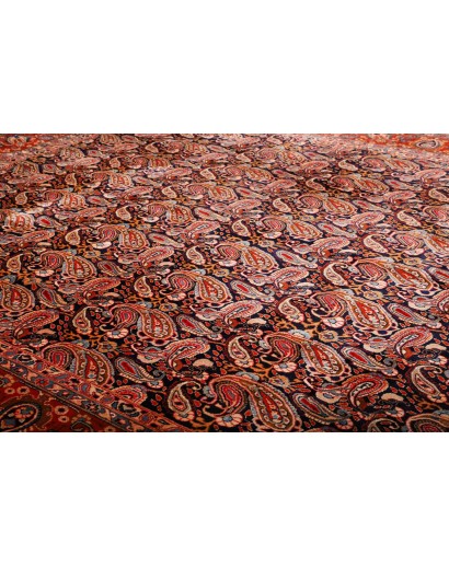 Tappeto Kashamr Zirkhaki Persia marrone arancione 295x380