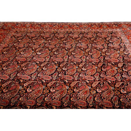 Tappeto Kashamr Zirkhaki Persia marrone arancione 295x380