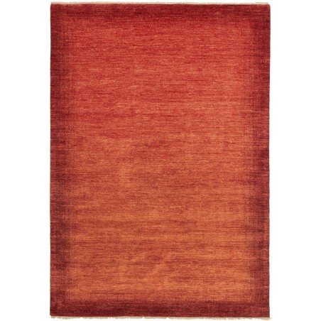 Tappeto Shayan Pakistan marrone 171x245