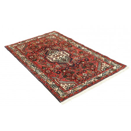 Tappeto Hamadan Persia marrone giallo 97x150