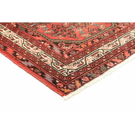 Tappeto Hamadan Persia verde marrone 100x150
